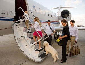5 Reasons Why a Private Jet Rental is Perfect for Family Travel - Eliminate Much of the stress of flying - Fly on your terms - Access Jet Group